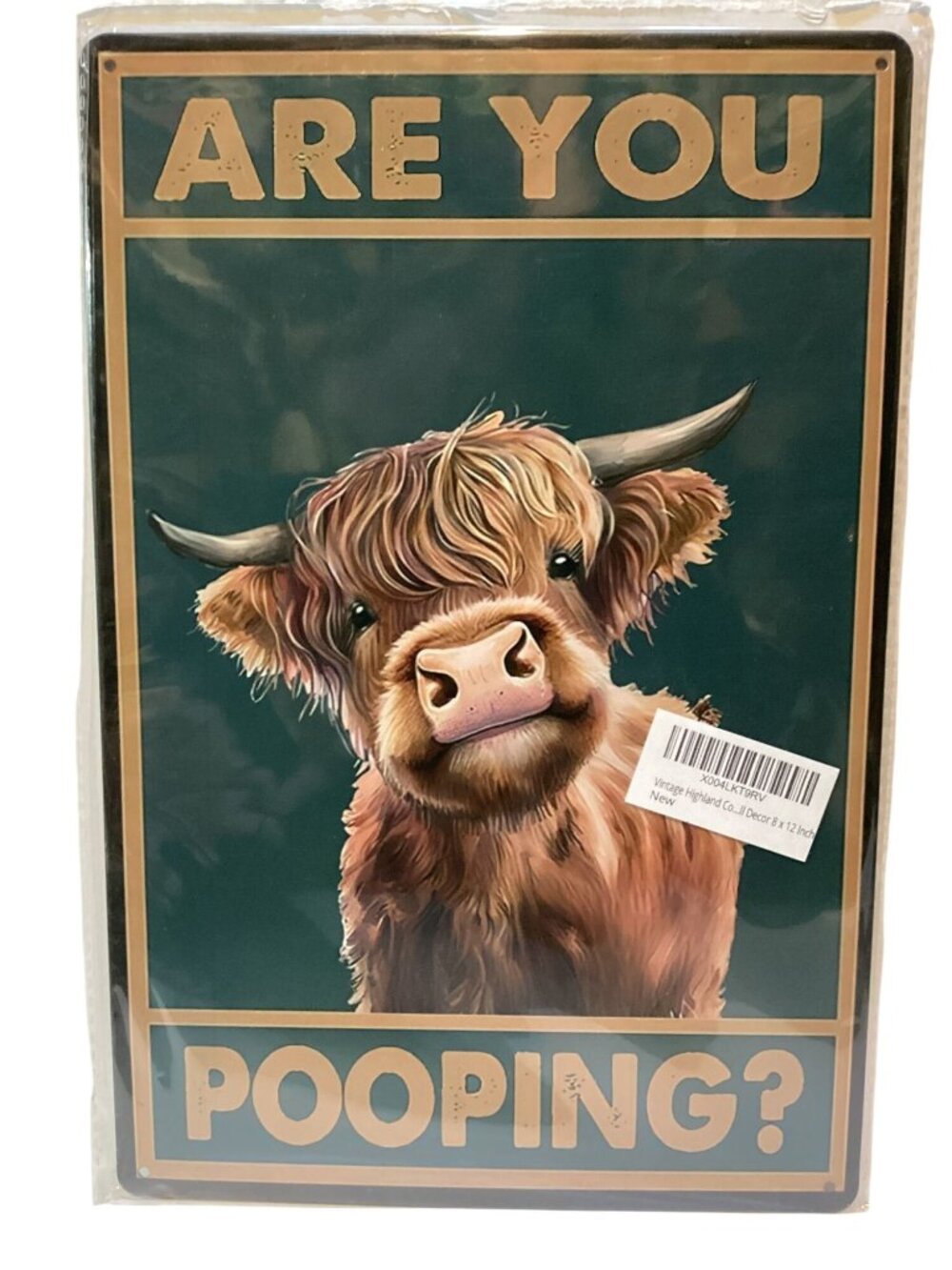 Are You Pooping 12X8 Golden Era Retro Distressed Tin Sign Multi Color NEW